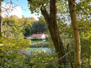 House | Exterior - 5 Star Holiday Home in Viborg (Viborg)