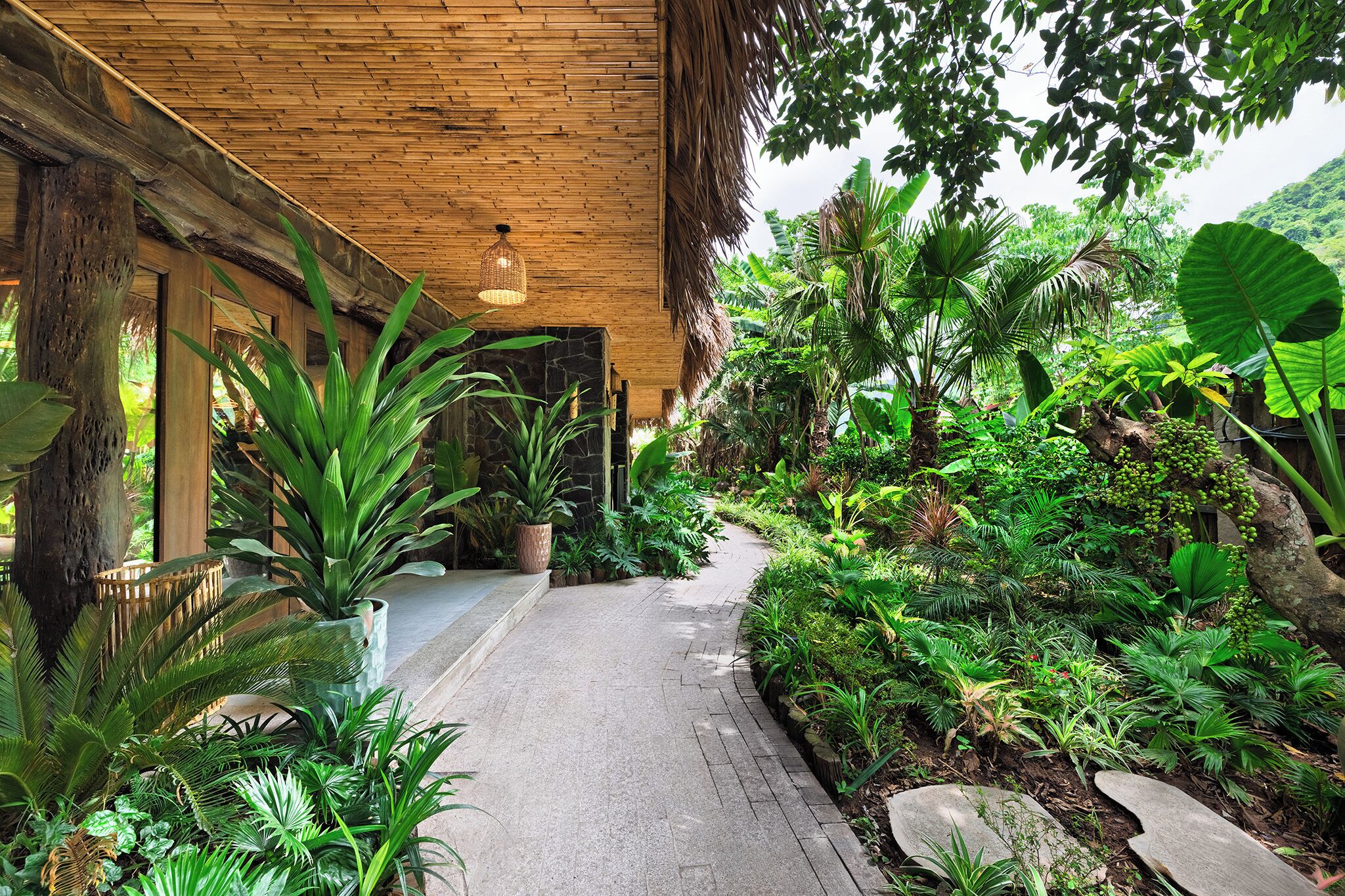 A pathway flanked by lush greenery and a wooden structure with a thatched roof.