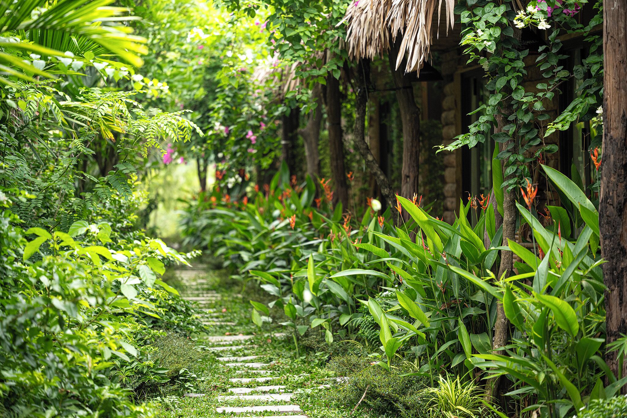 A garden pathway with lush greenery and a wooden structure.