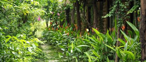 A garden pathway with lush greenery and a wooden structure.