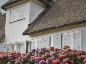 獨棟房屋 | 外觀細部