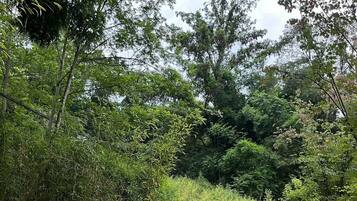 ์ํผ๋ฆฌ์ด ์ค์ํธ, ๋ฐ๋ ค๋๋ฌผ ๋๋ฐ ๊ฐ๋ฅ, ๋ง๋น | ์๋ง ์ปคํผ, ๋ฐฉ์ ์ค๋น, ๋ค๋ฆฌ๋ฏธ/๋ค๋ฆฌ๋ฏธํ, ๋ฌด๋ฃ WiFi