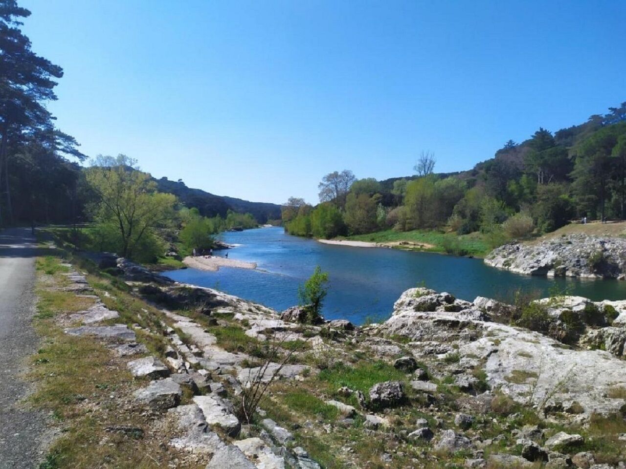 A river with a rocky shoreline, surrounded by greenery and trees.