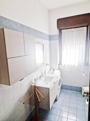 Shower, hair dryer, bidet, towels