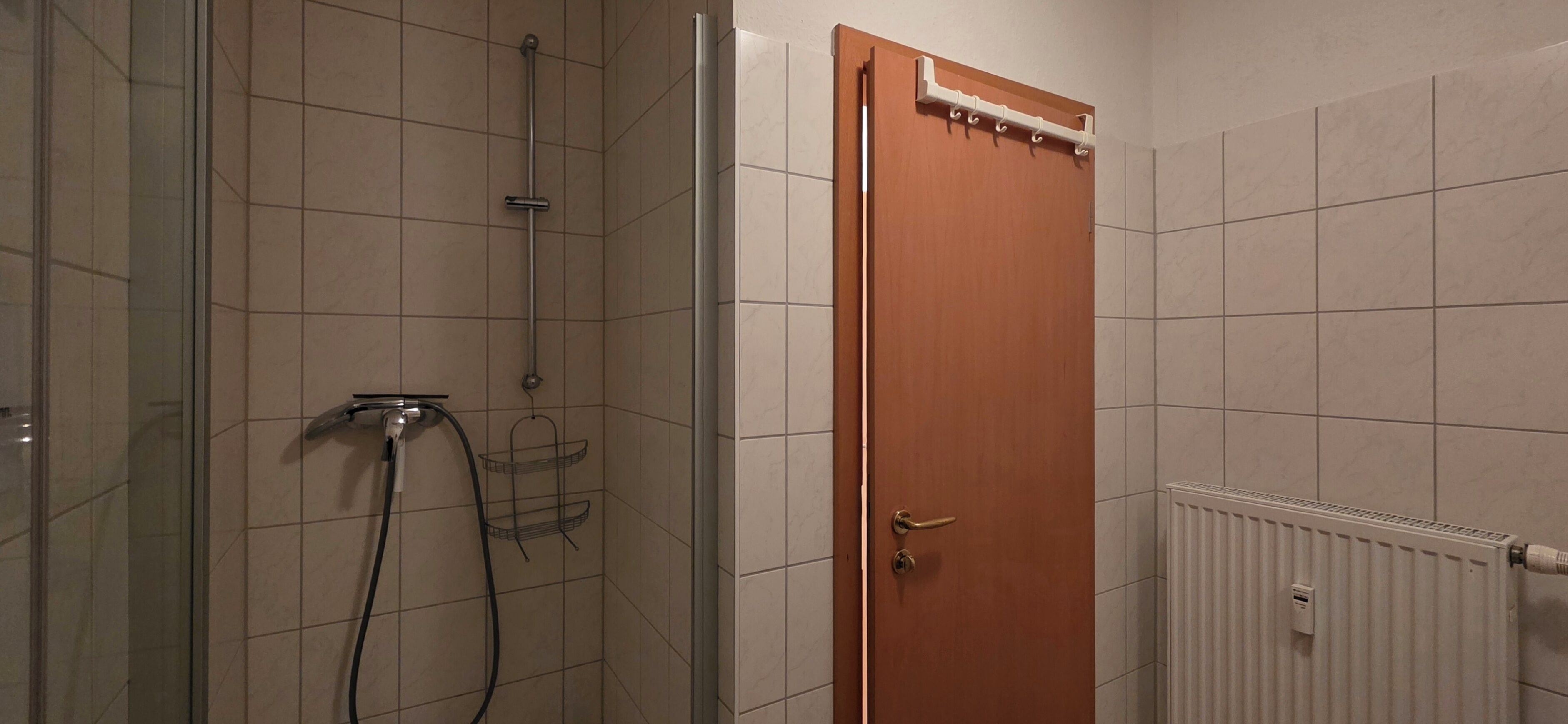 A shower with a glass door, a wooden door, and a white radiator.