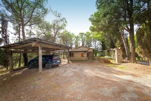 A rustic cabin with a covered carport, surrounded by trees.