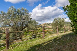 Property grounds - Holiday Home 'La Baciosa' with Private Terrace, Wi-Fi and Air Conditioning (Casale Marittimo)