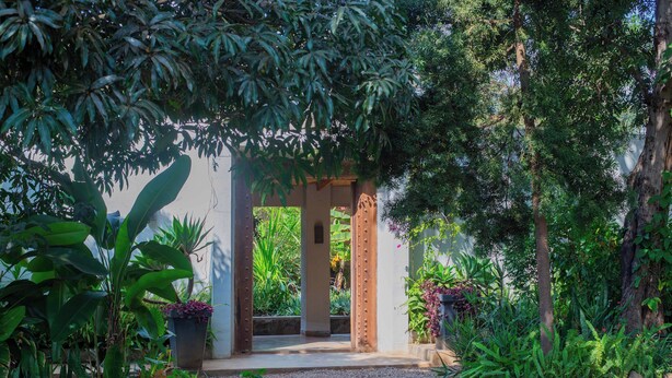 Une entrée de jardin agrémentée d’une arche en bois, entourée de différentes plantes et bordée d’un chemin de gravier.