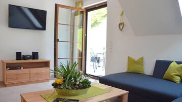 Fernseher, Stereoanlage