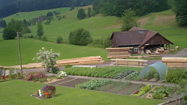 Ländliche Landschaft mit einem Holzstall, einer Straße und einem Garten mit verschiedenen Pflanzen.