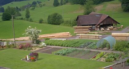 Apartment 'Schwalbennest' with private terrace, shared garden and Wi-Fi