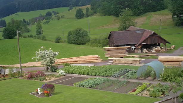 A rural landscape with a wooden barn, a road, and a garden with various plants.
