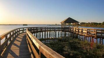 Apartment, 2 Bedrooms, Balcony, City View | Exterior