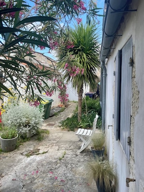 A courtyard with a bench, potted plants, and a building with a window.