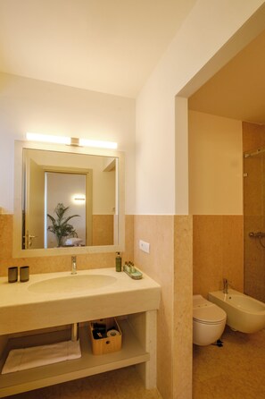 Shower, hair dryer, bidet, towels