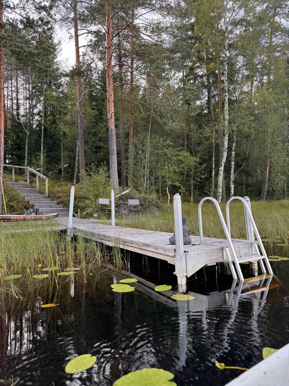 A wooden dock extending into a calm body of water with lily pads, surrounded by tall trees.