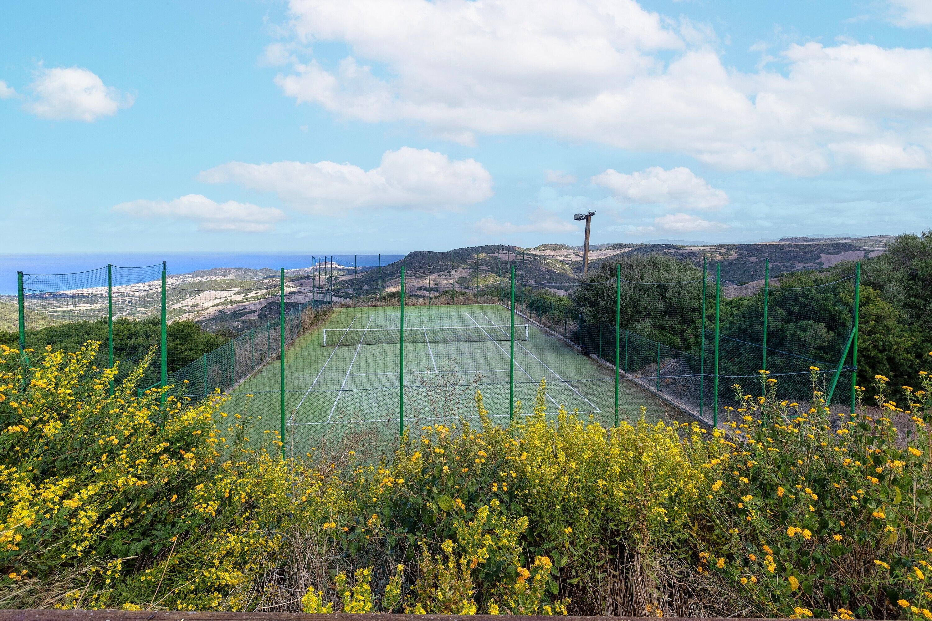 Sport court