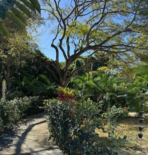 Jardines del alojamiento