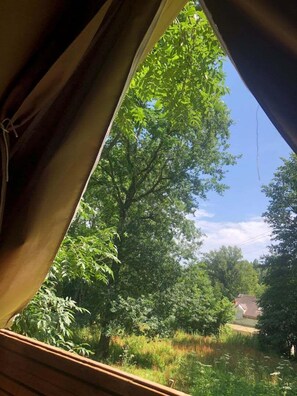 Vue depuis l’hébergement