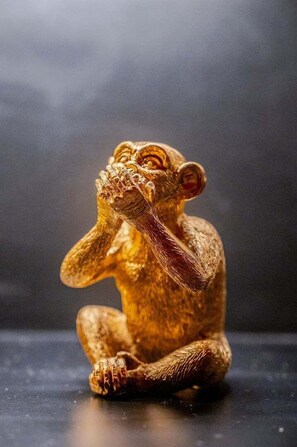 Details aan de binnenkant