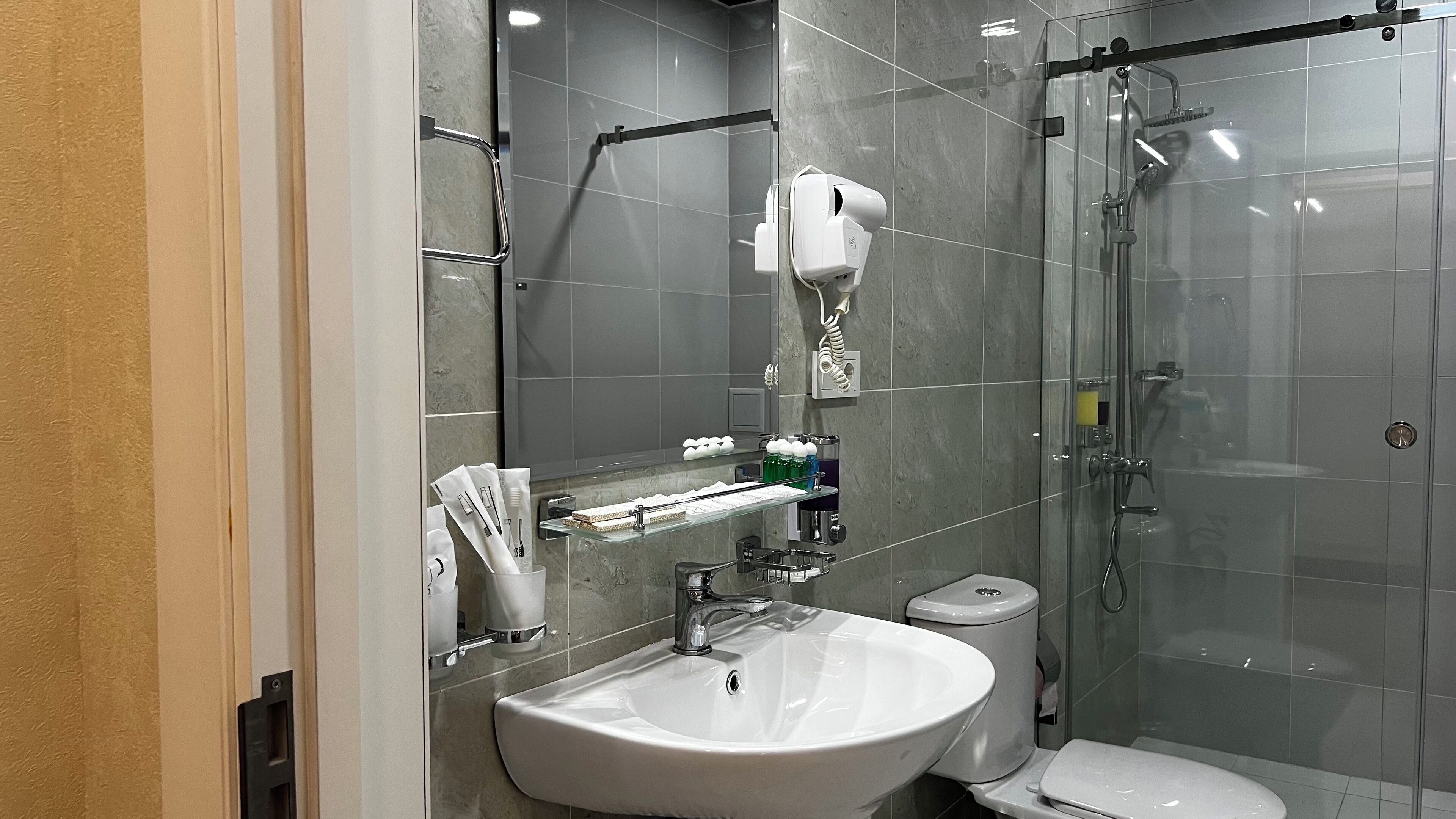 A modern bathroom with a glass shower enclosure, a white sink, and a toilet.