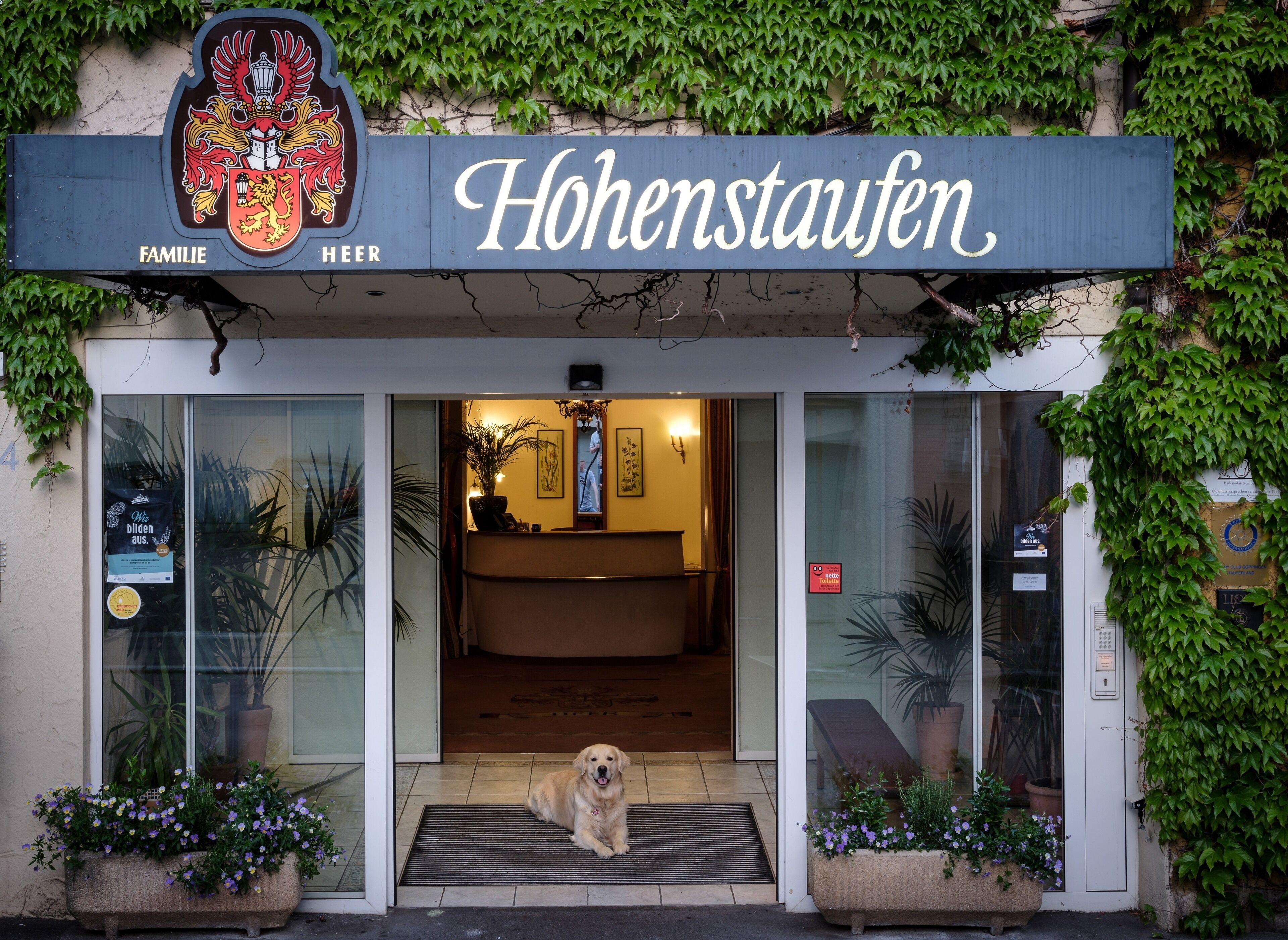 A hotel entrance with a sign reading "Hohenstaufen" and a coat of arms above it.