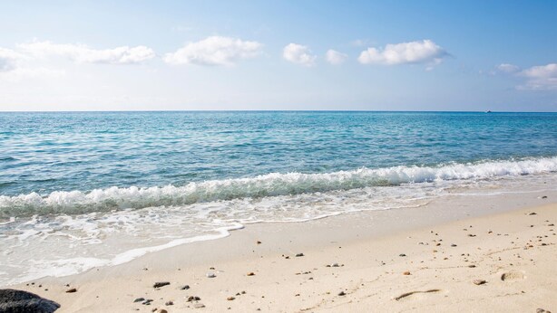 Ein Strand mit klarem, blauen Wasser und einem sandigen Ufer.