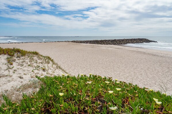 Apartment | 2 bedrooms - Ofir Beach Lodge By Minho s Guest (Esposende)