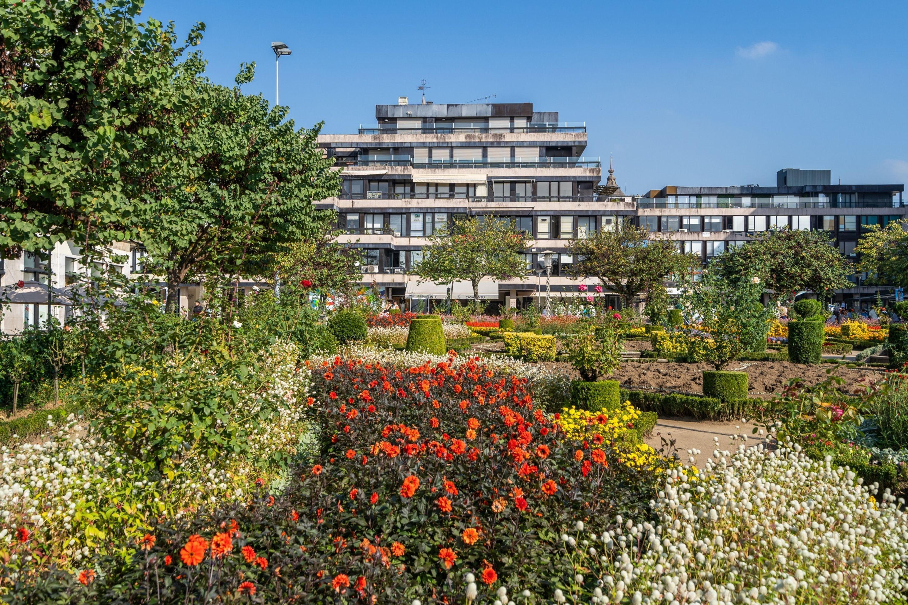Appartement, roken | 1 slaapkamer