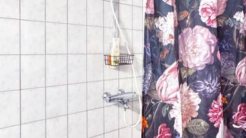 Dusche, Haartrockner, Bidet, Handtücher