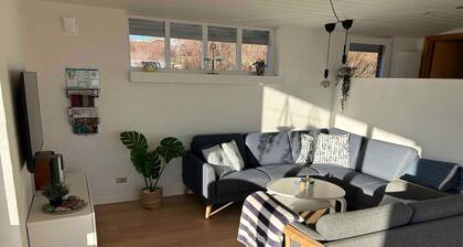 5 Star Holiday Home in Farso