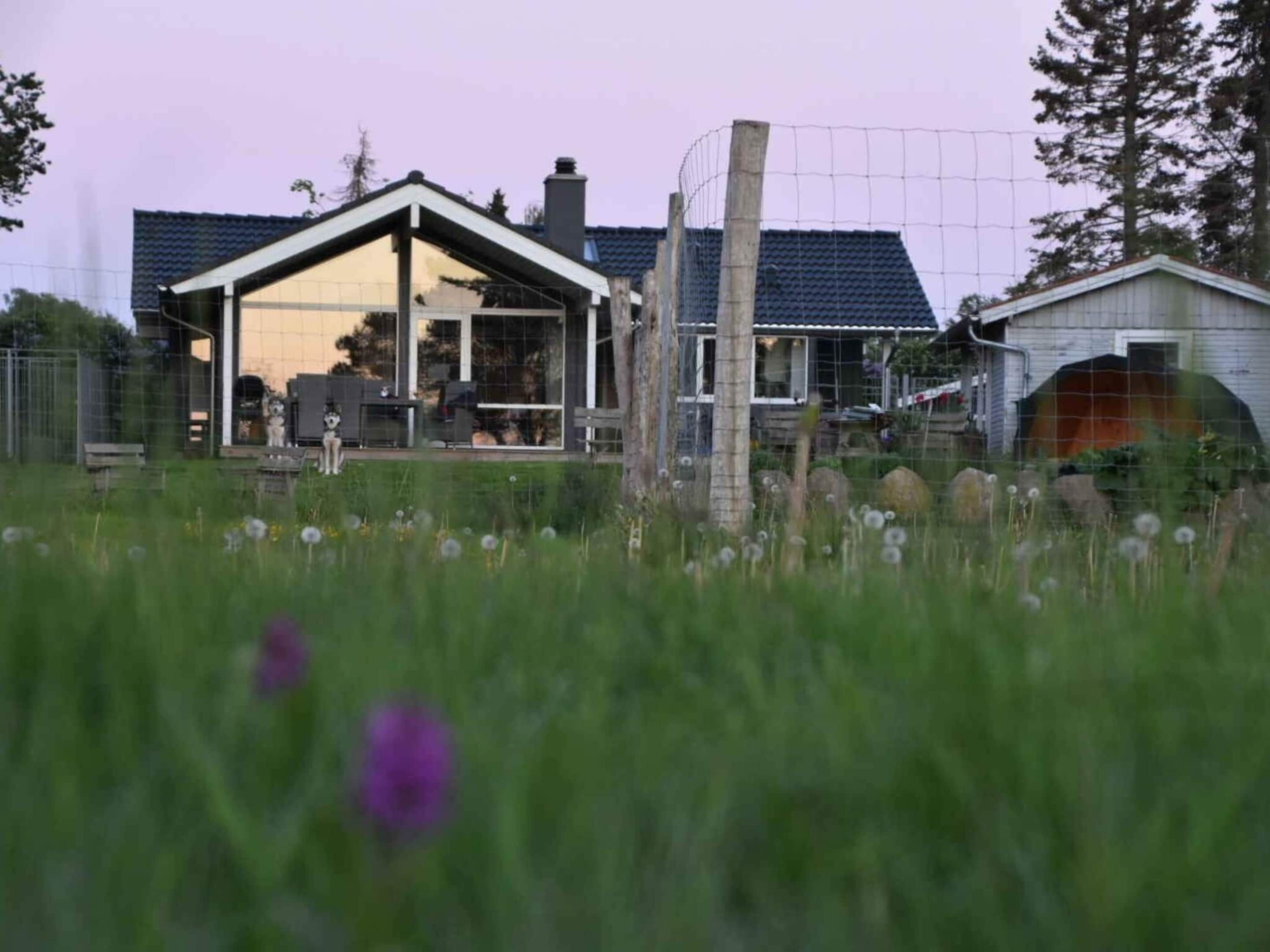 Casa | Área da propriedade