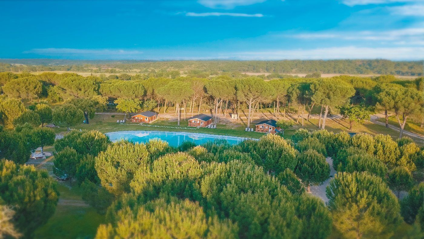 Un barrio residencial con varias casas, una piscina y un paisaje boscoso.