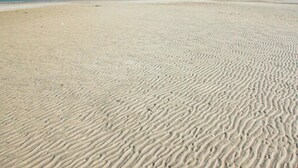 A wide, sandy beach with gentle waves and a distant shoreline. - 5 Star Holiday Home in Glesborg (Glesborg)