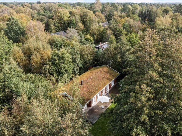En vy från ovan av ett hus omgivet av tät skog, med en tydligt synlig uteplats och ett stort fönster.