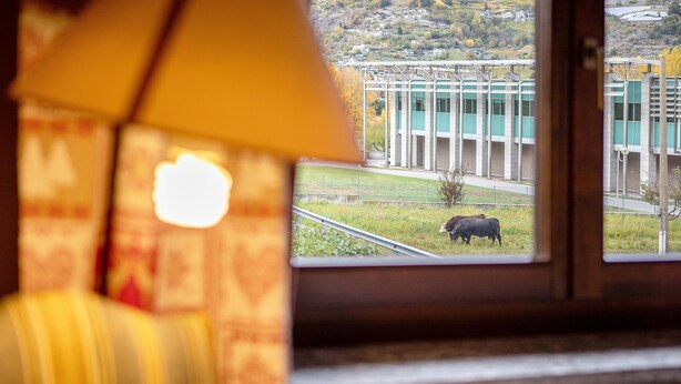 A window view of a building with a cow in a field. - Apartment 'Trilocale 13' with Mountain View and Wi-Fi (Gressan)