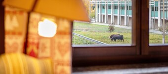 Apartment 'Trilocale 13' with Mountain View and Wi-Fi