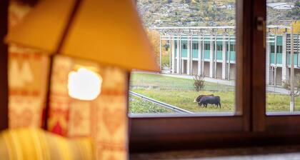 Apartment 'Trilocale 13' with Mountain View and Wi-Fi