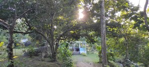 Blick auf den Garten