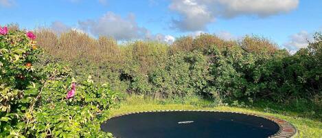 House | Property grounds