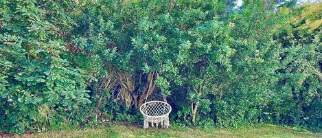 House | Property grounds