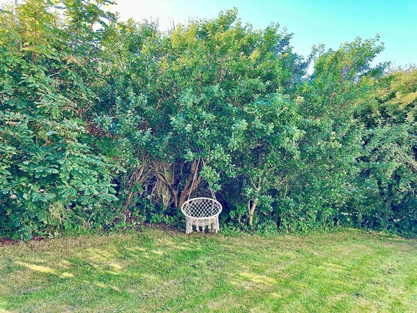 House | Property grounds