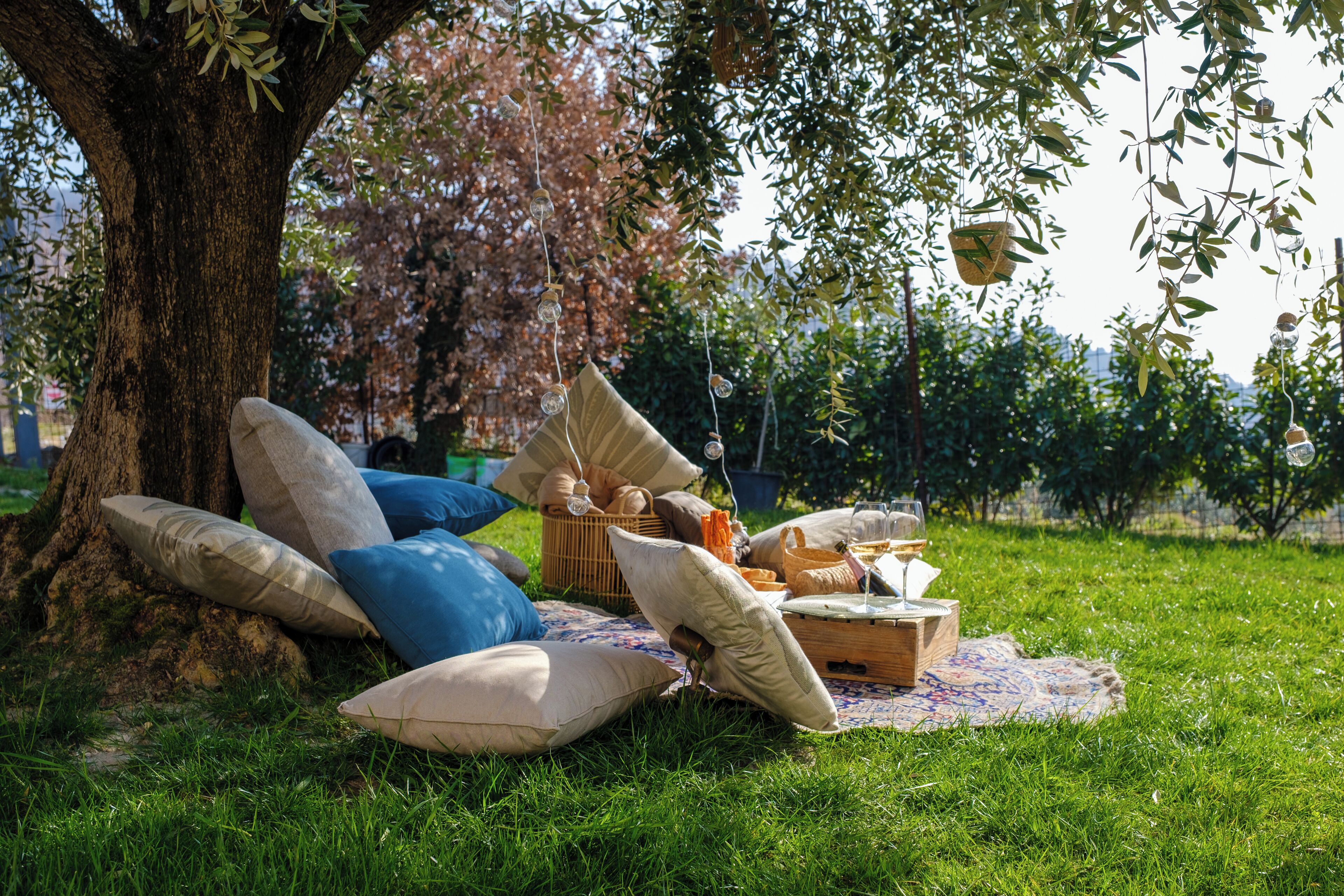 Ein Picknick unter einem Baum mit Kissen, einem Korb und einer Decke.