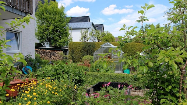 A garden with a greenhouse, various plants, and a house with a sloped roof. - Apartment 'Marianne' with Private Terrace and Wi-Fi (Olsberg)