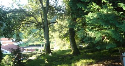 Guest Room “Gastandeia” with Mountain View, Private Terrace and Wi-Fi
