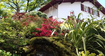 Chambre dâhĂŽtes « Gastandeia » avec vue sur la montagne, terrasse privĂ©e et Wi-Fi