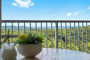 Condo, Multiple Beds, Balcony, Mountain View (Ozarks Vista Retreat ) | Outdoor dining - Ozarks Vista Retreat 6ppl Stay (Kimberling City)