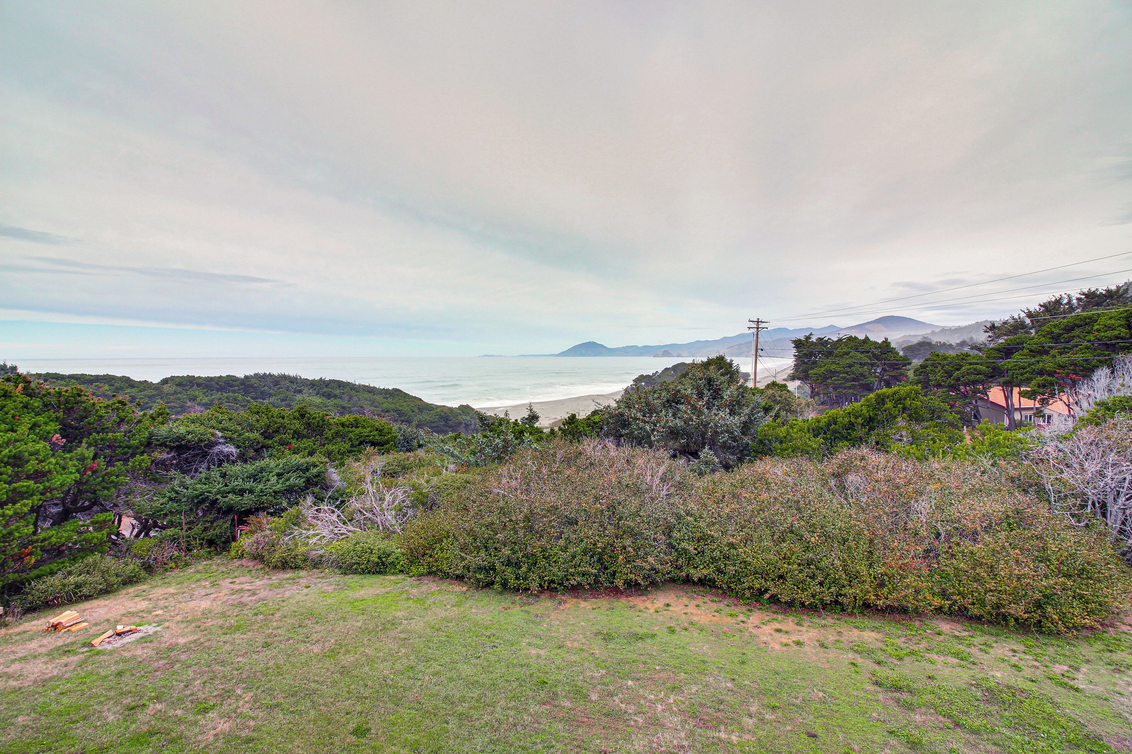 A coastal landscape with a grassy area, dense shrubbery, and a view of the sea and distant mountains.