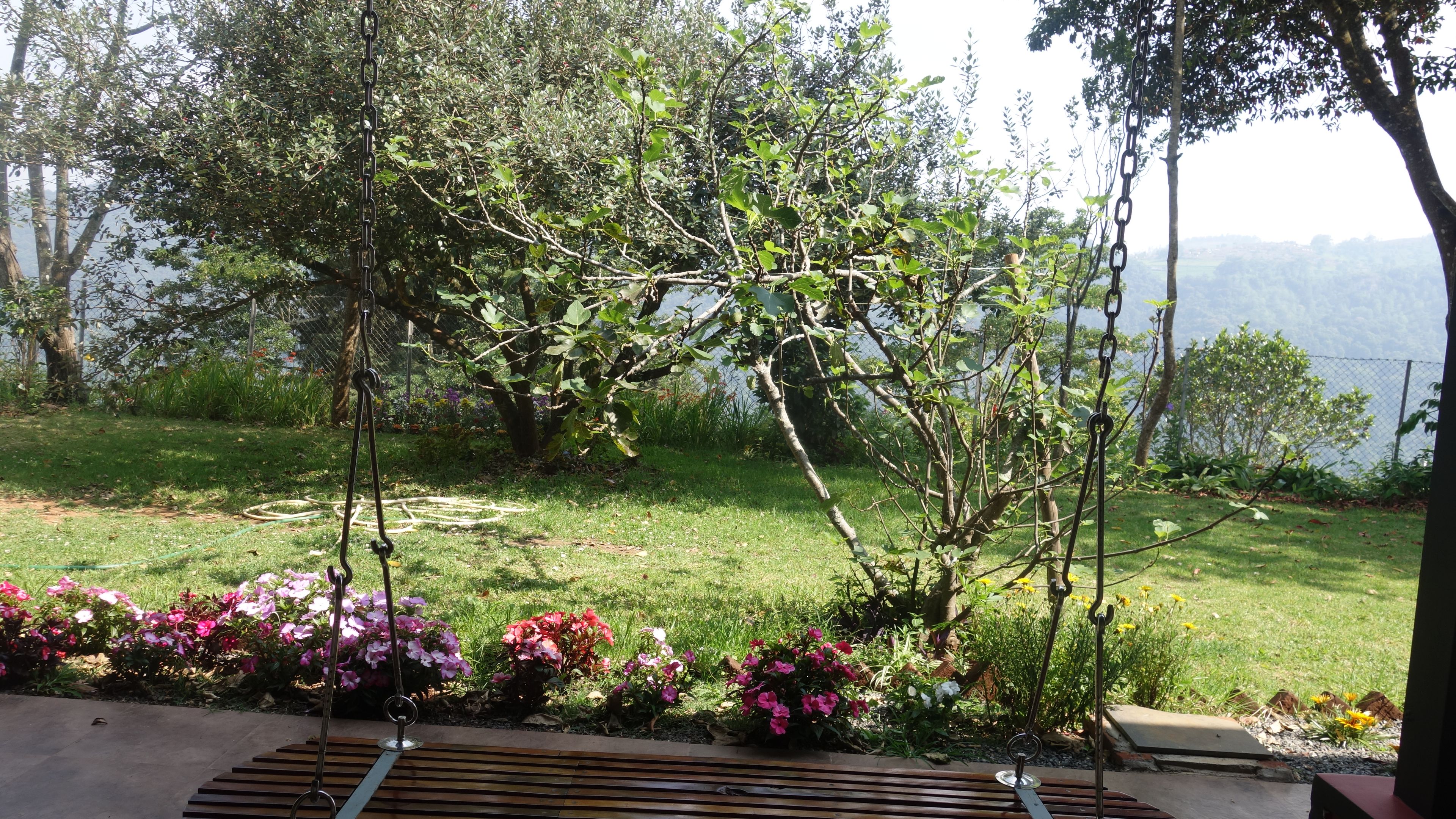 Un jardin avec une balançoire, une pelouse et une vue sur un lac.