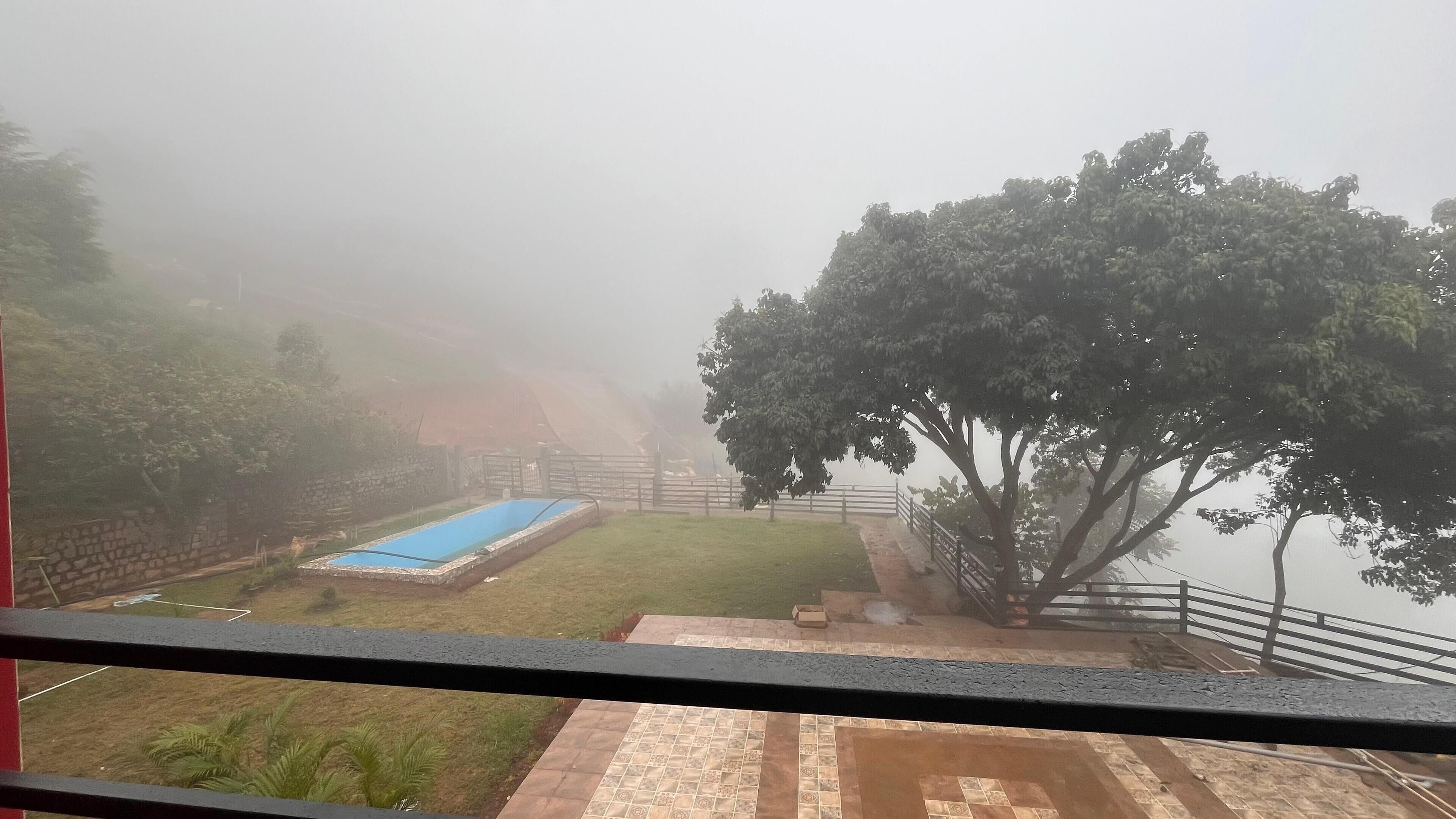 A view from a balcony overlooking a garden with a blue pool, a large tree, and a stone wall.